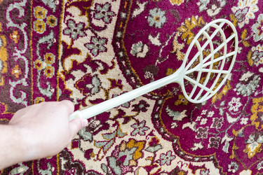 Similar image 21975556