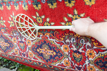 Similar image 21975558