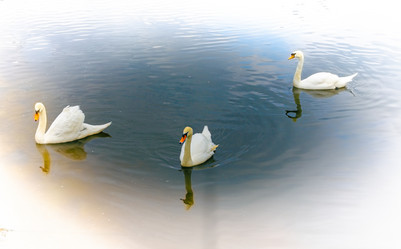 Similar image 21975002