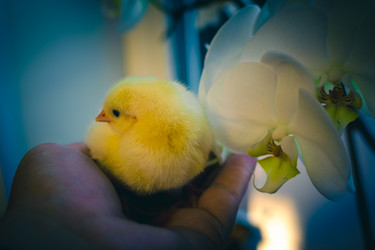 Similar image 21975006