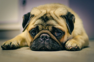 Similar image 21975008