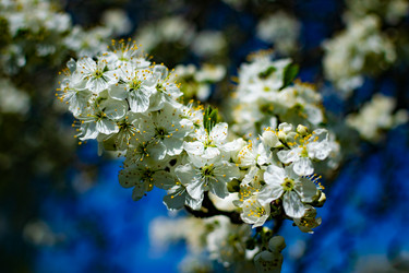 Similar image 21975013