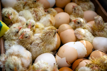 Similar image 21975015