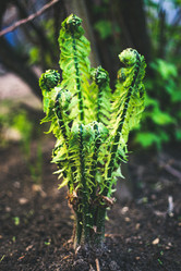 Similar image 21975016