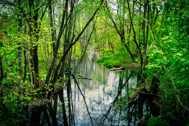 Similar image 21975018