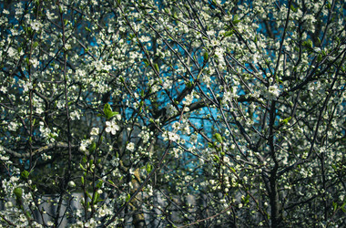 Similar image 21975019