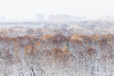 Similar image 21975432