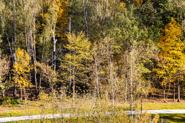 Similar image 21975437