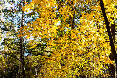 Similar image 21975442