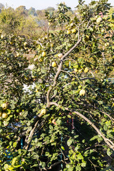 Similar image 21975567