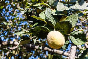 Similar image 21975569