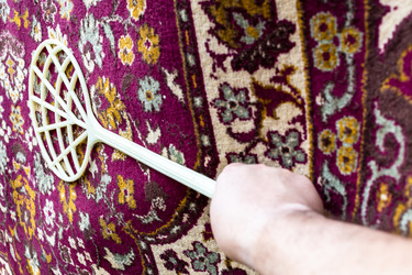 Similar image 21975572