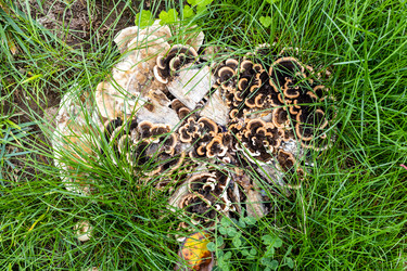 Similar image 21975574