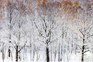 Similar image 21975590