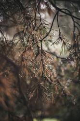 Similar image 21976315