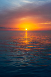 Similar image 21976316