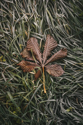 Similar image 21976317