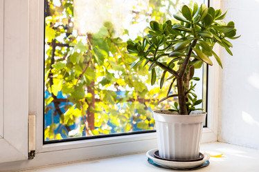 Similar image 21975592