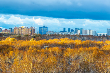 Similar image 21975593