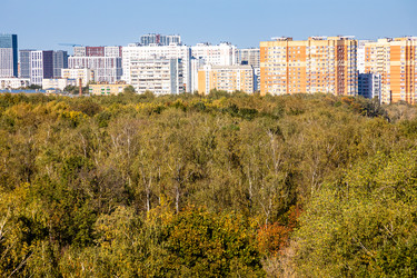 Similar image 21975596