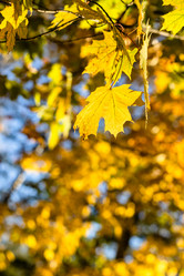 Similar image 21975597