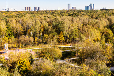 Similar image 21975598