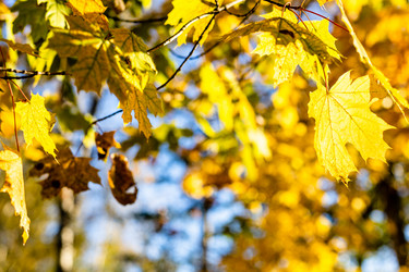 Similar image 21975607