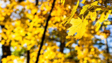 Similar image 21975610