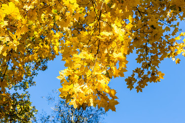 Similar image 21975612