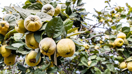 Similar image 21975613