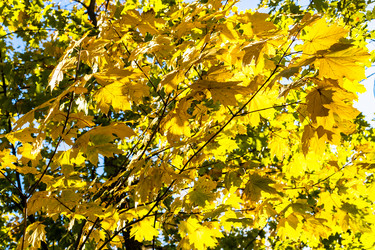 Similar image 21975614