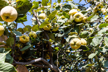 Similar image 21975623