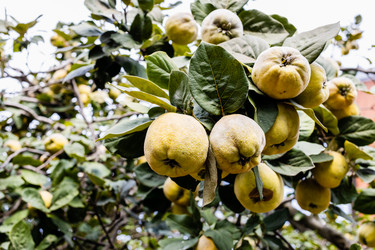 Similar image 21975624