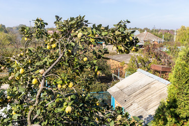 Similar image 21975625