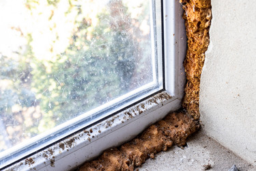 Similar image 21975627