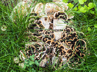 Similar image 21975633