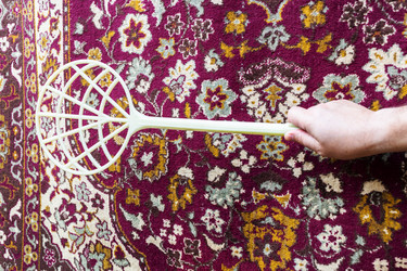 Similar image 21975637