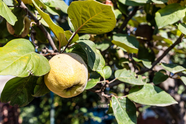 Similar image 21975638