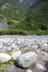 Similar image 21976336