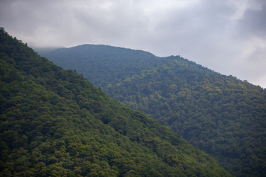 Similar image 21976341