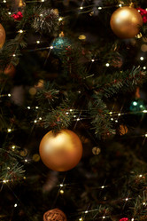 Similar image 21956084