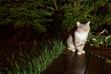 Similar image 21957270