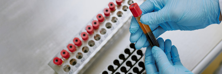 Similar image 21958029