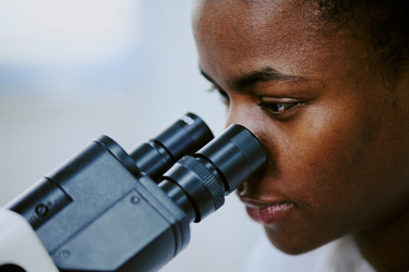 Similar image 21955880