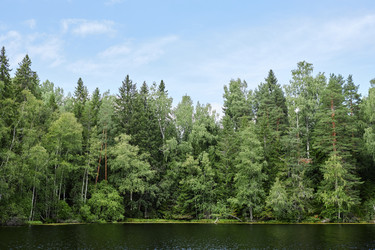 Similar image 21960203