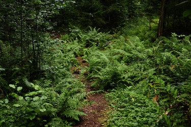 Similar image 21959166