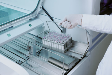 Similar image 21960158