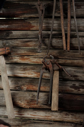 Similar image 21955649