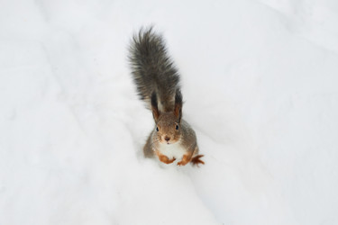 Similar image 21956481