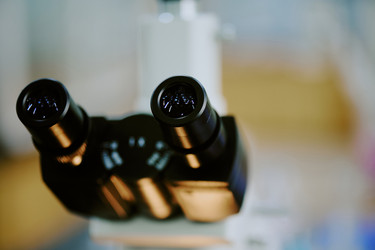 Similar image 21960174